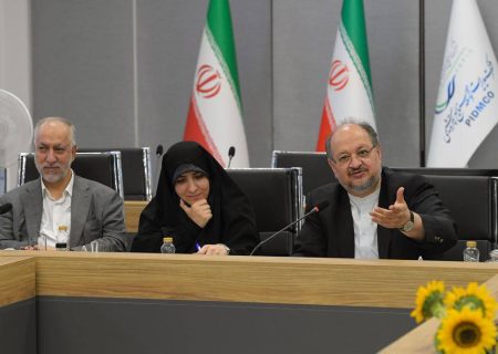 نابسامانی پتروشیمی در پی ضعف قانون‌گذاری گذشته